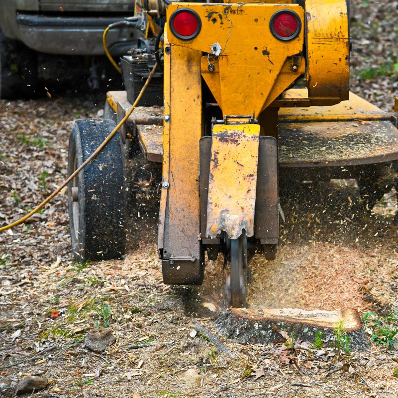 Stump Grinding