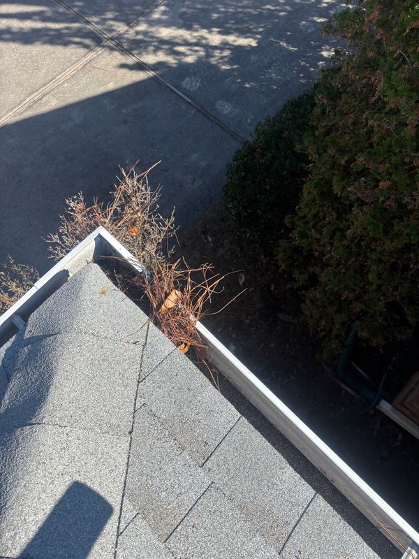 Gutter Cleaning