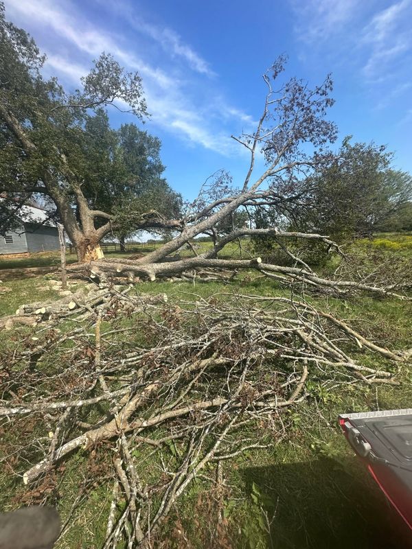 Land Clearing