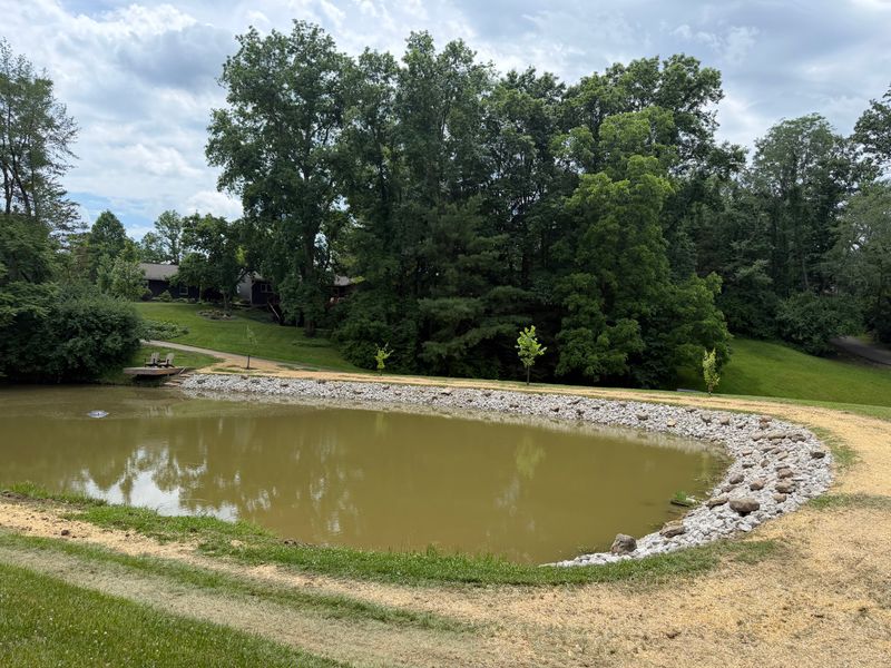 Pond Building and Maintenance