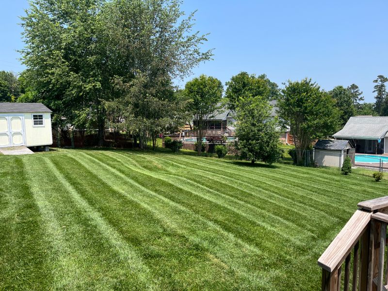 Lawn Services