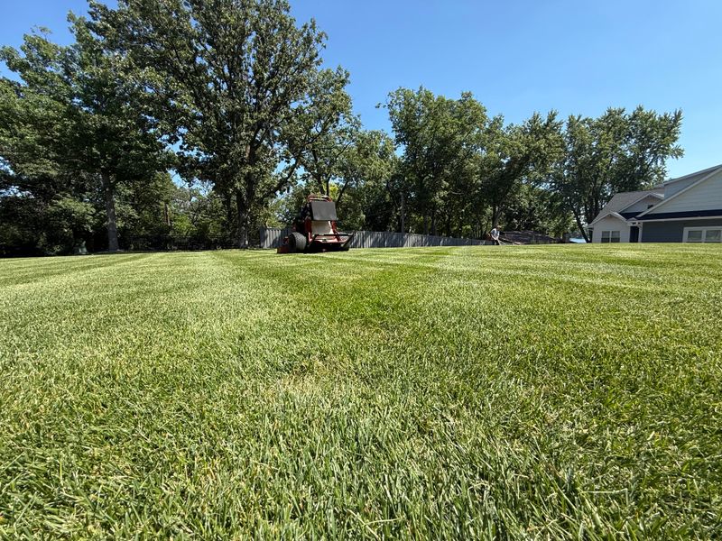 Lawn Maintenance