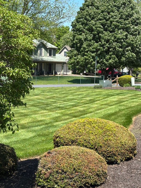 Lawn Mowing