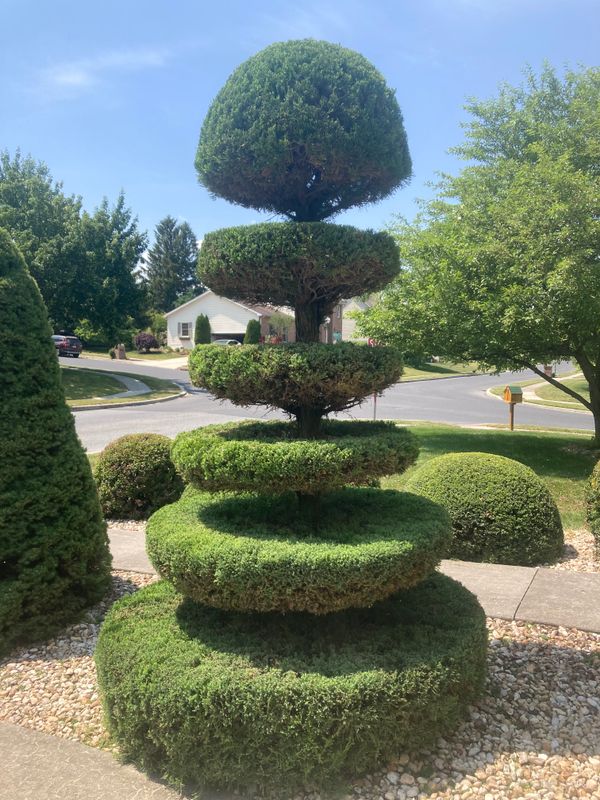 Landscape Design