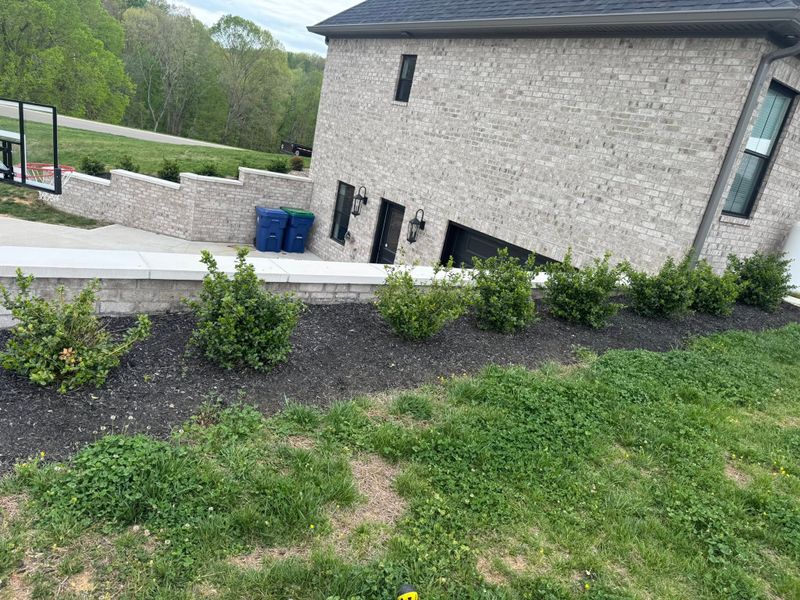 Hardscape Installation
