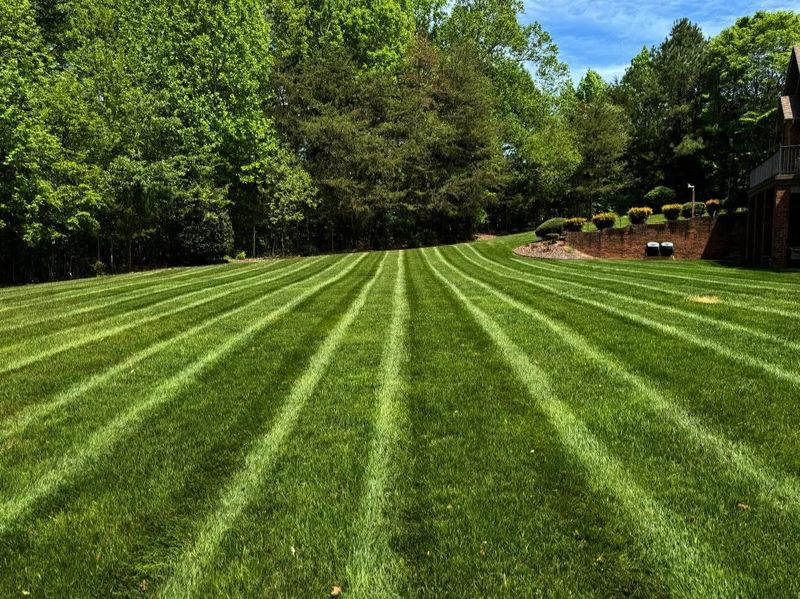 Mowing