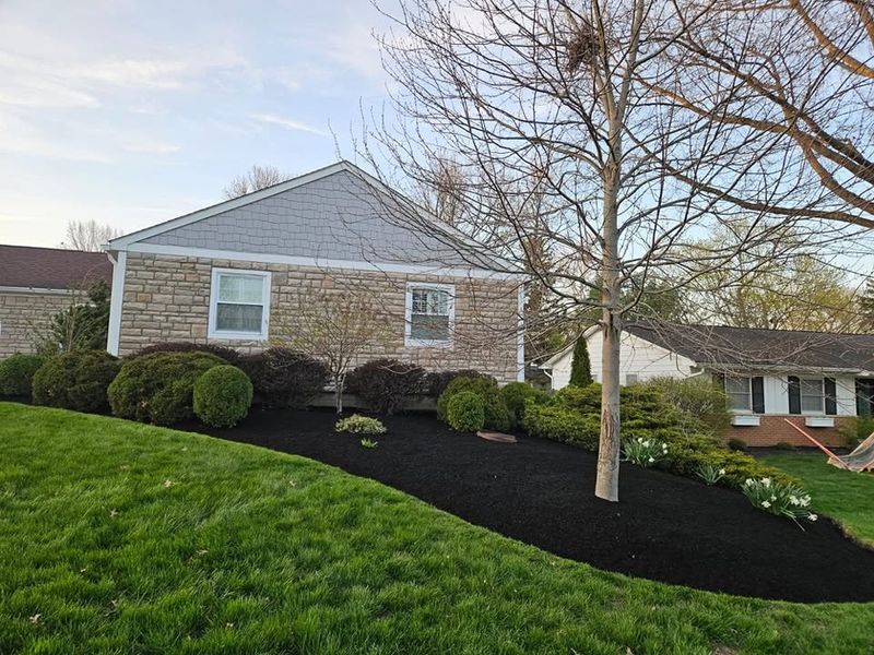 Shrub Trimming