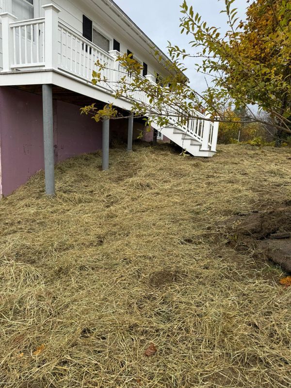 Fall Clean Up