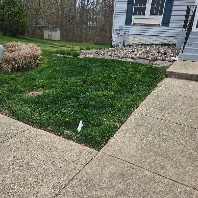 Weed Control and Fertilizer Treatment