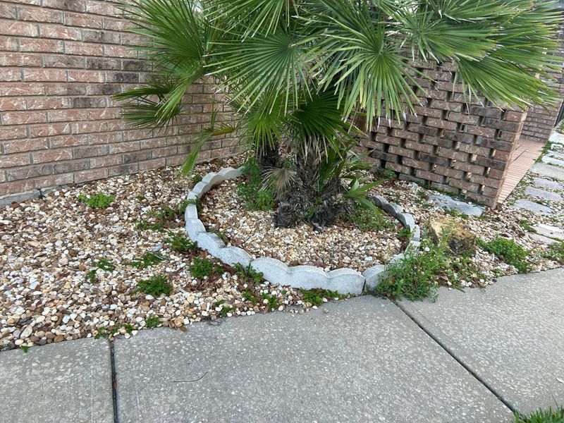 Garden Design and Installation