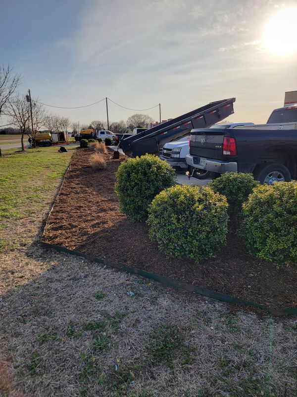 Shrub Trimming