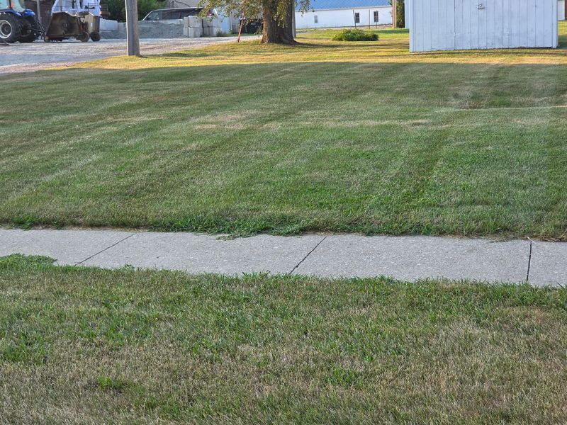 Lawn Care & Maintenance