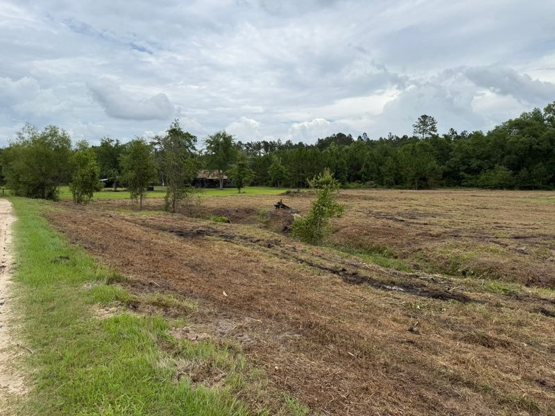 Land Clearing