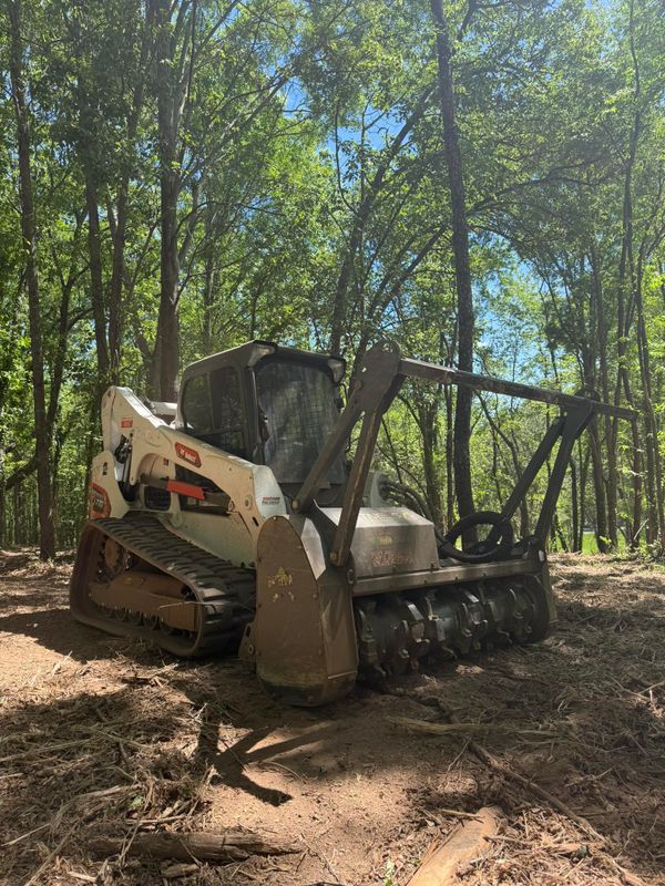 Lot Clearing