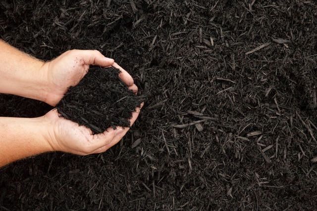 Mulch Installation