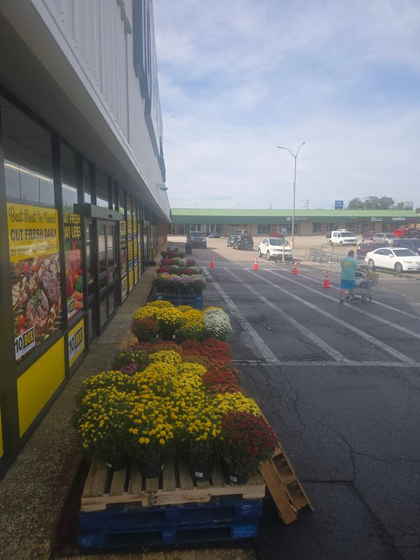 Parking Lot Cleanings!