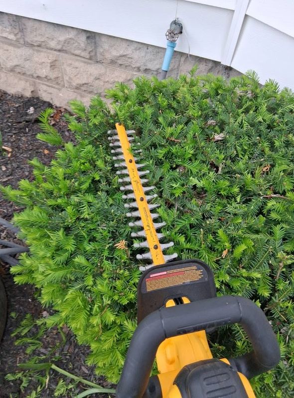 Landscaping