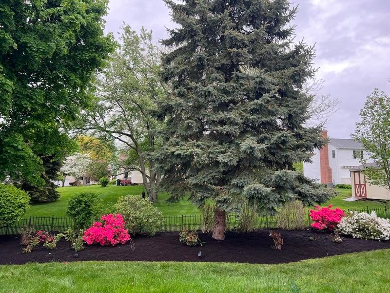 Landscape Design