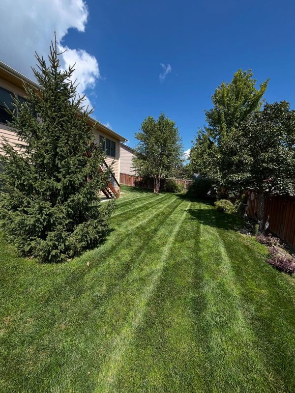 Lawn Maintenance