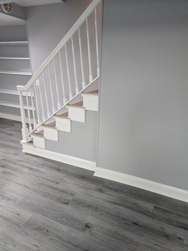 Basement Renovation