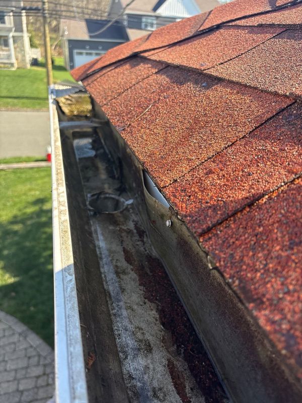 Gutter Services