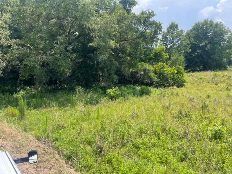 Land Clearing/ Forestry Mulching