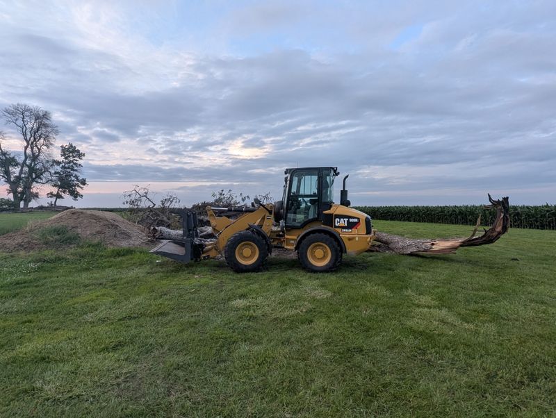 Tree & Brush Removal