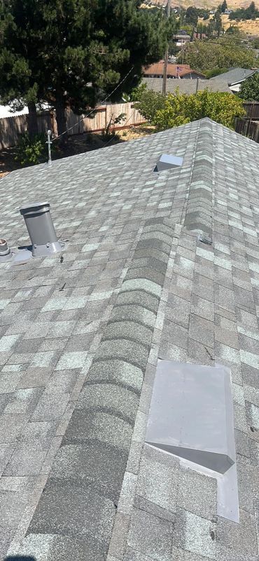 Shingle Roofing