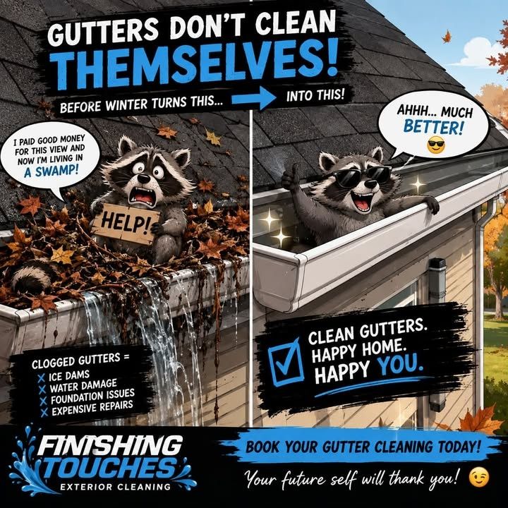 Gutter Cleaning
