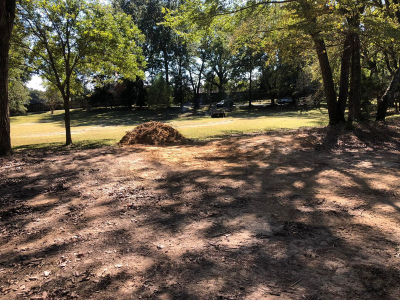 Debris Removal