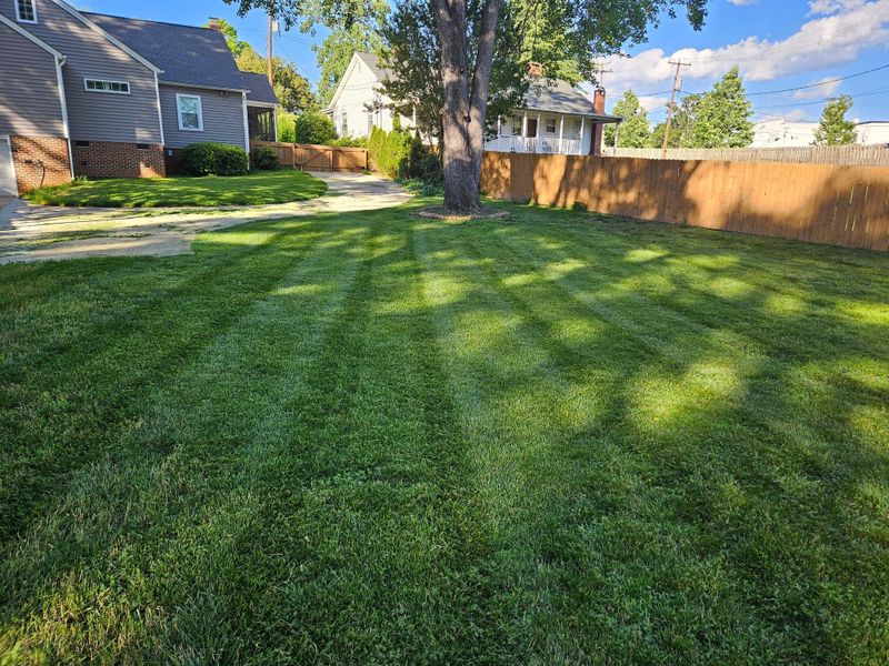 Mowing