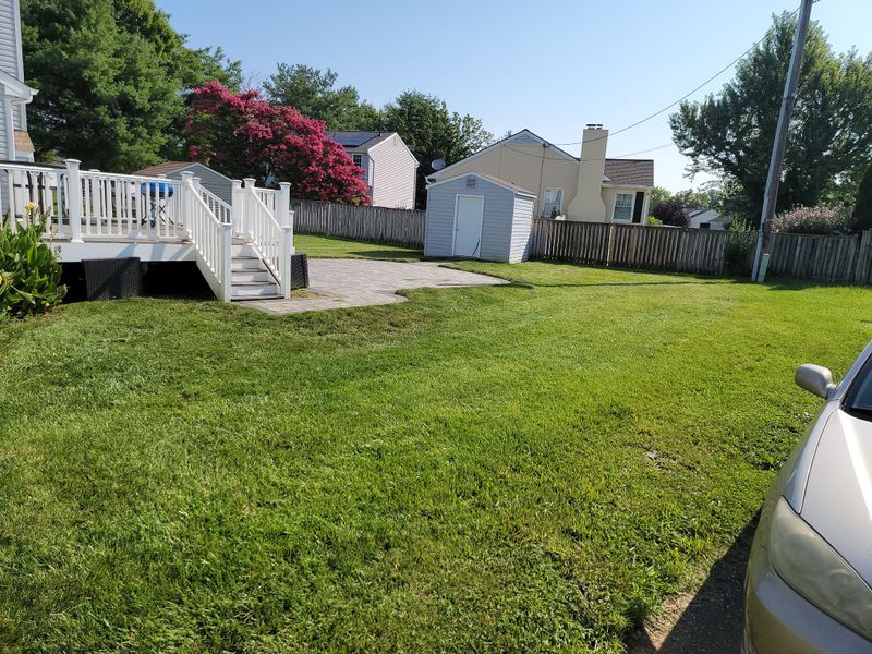 Beautiful Lawns