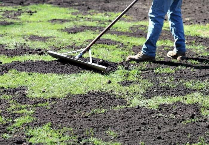 Lawn Maintenance