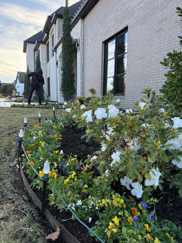 Landscape Design & Installation