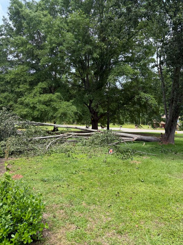 Land Clearing