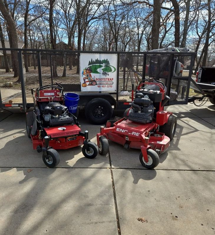 Tree & Shrub Care