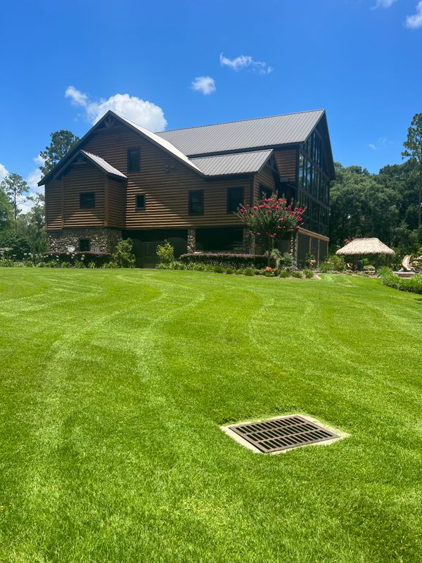 Lawn Care