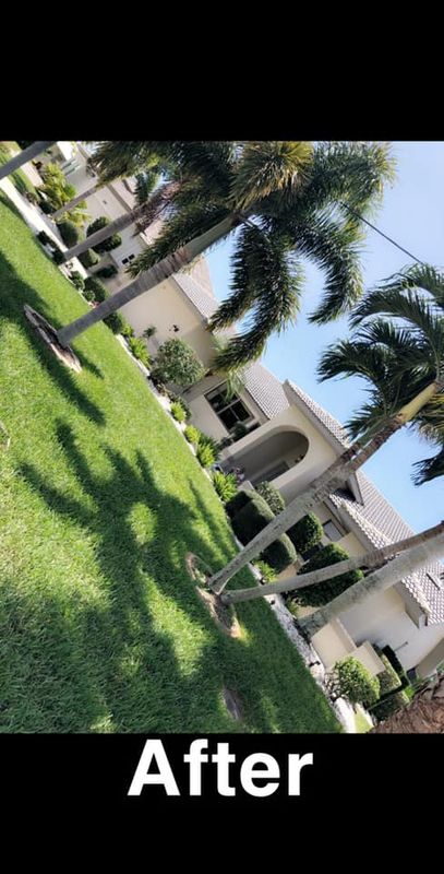 Landscaping