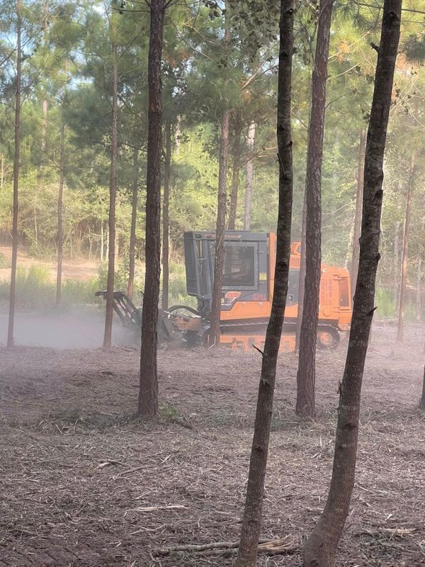 Land Clearing gallery