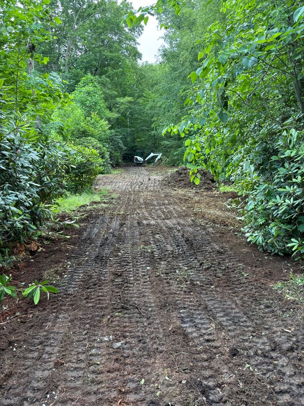 Land Clearing