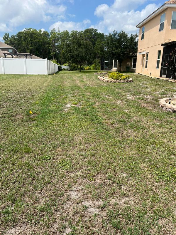 Lawn Care