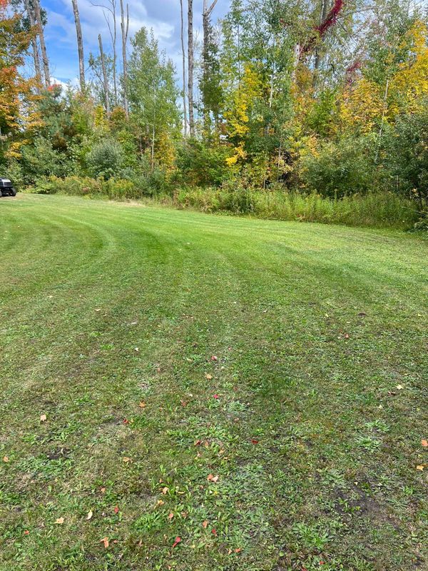 Lawn Care