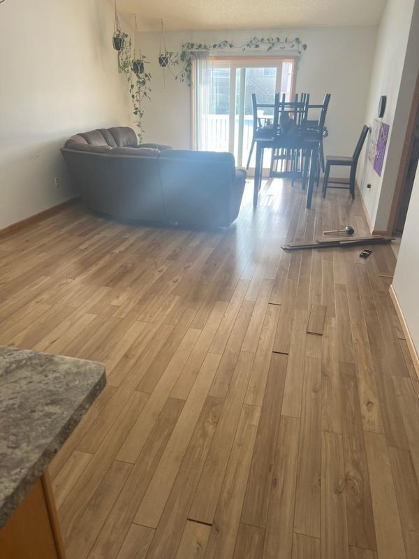 Vinyl Flooring