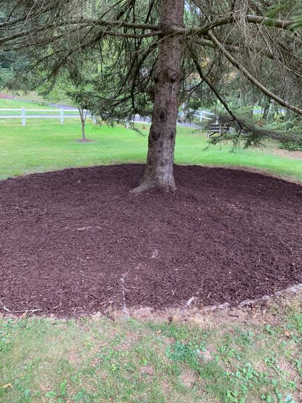 Mulch Installation