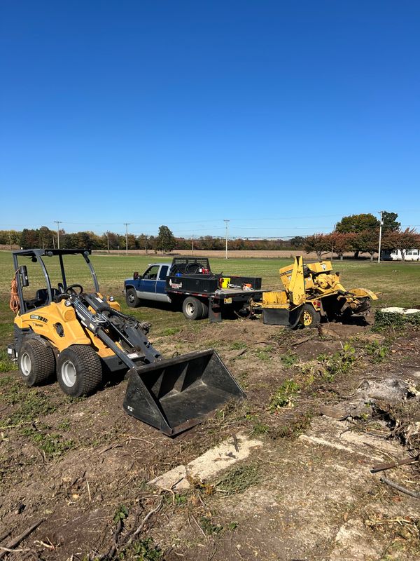 Stump Removal
