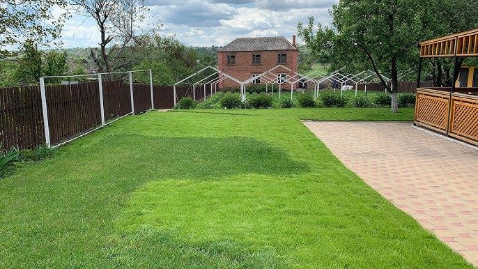 Lawn Mowing