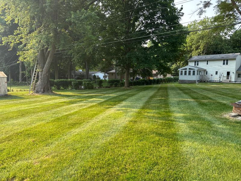 Mowing