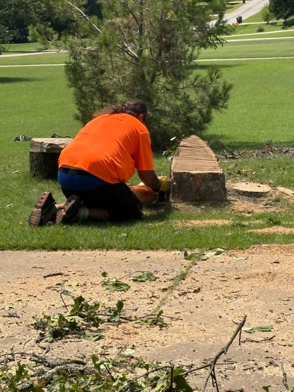Tree Trimming
