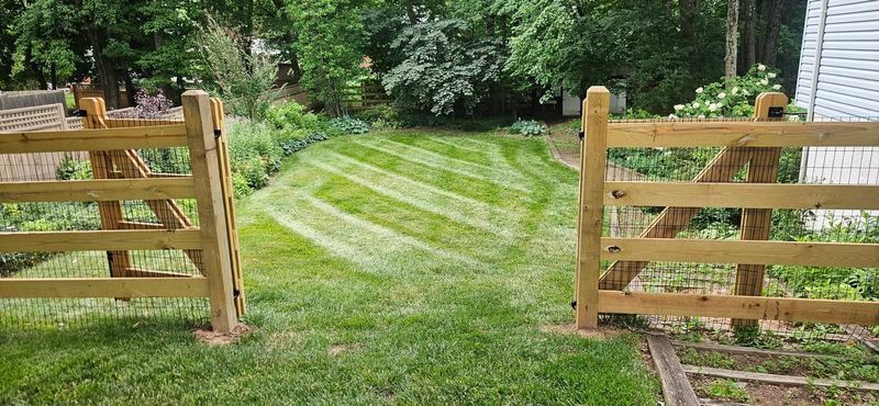 Lawn Maintenance