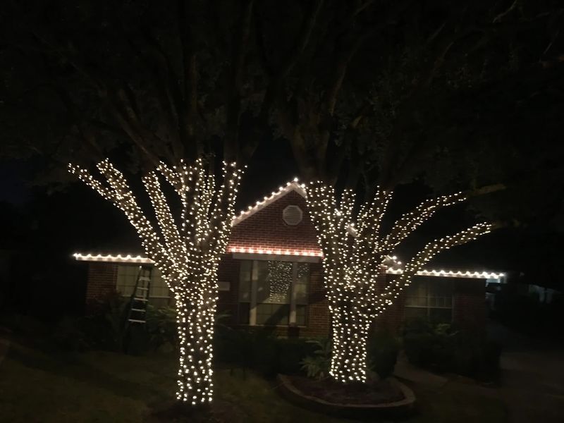 Christmas Lighting